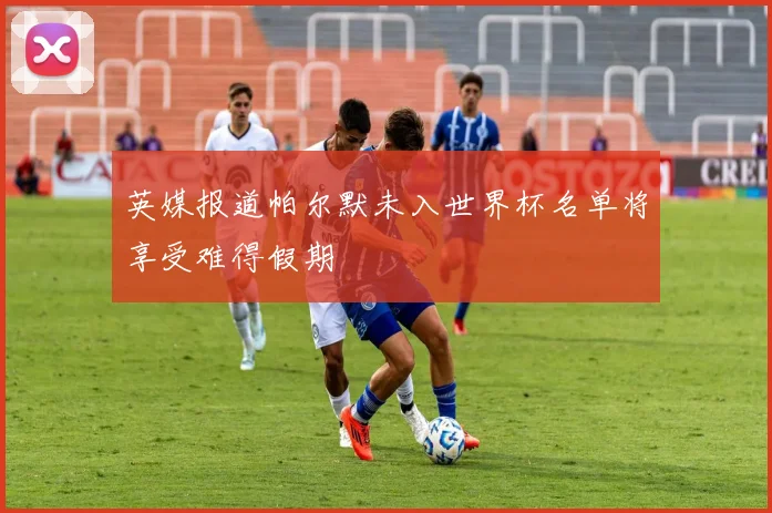 英媒报道帕尔默未入世界杯名单将享受难得假期