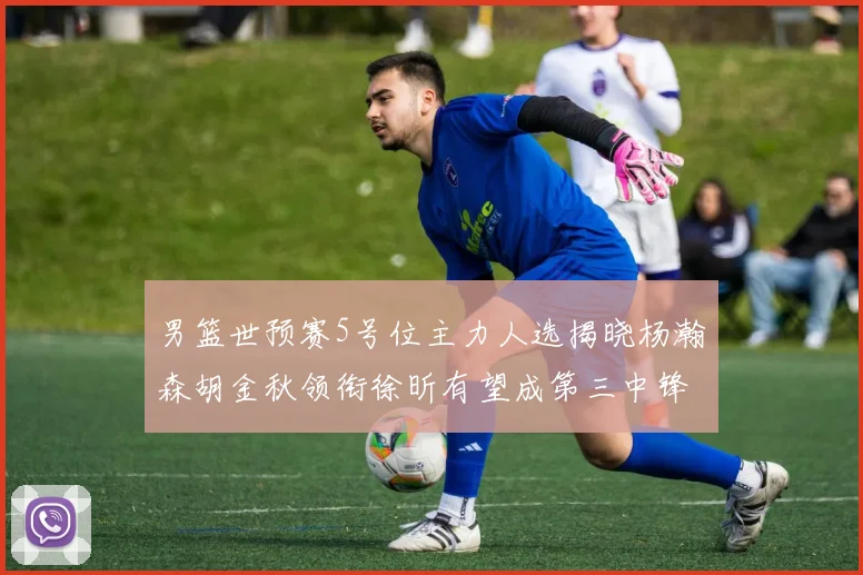 男篮世预赛5号位主力人选揭晓杨瀚森胡金秋领衔徐昕有望成第三中锋
